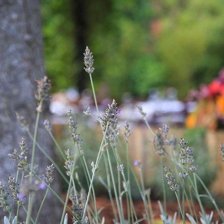סיינה Podere La Miniera Relax & Food מראה חיצוני תמונה